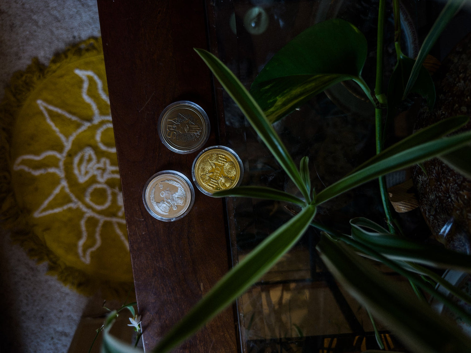 gold, silver, and brass coins on table with green plant decor