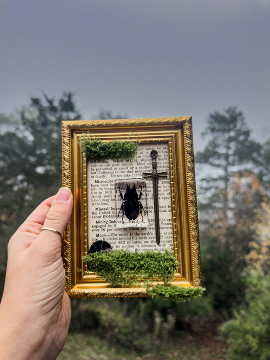 Cottagecore Faux Moss Decor (Beetle)