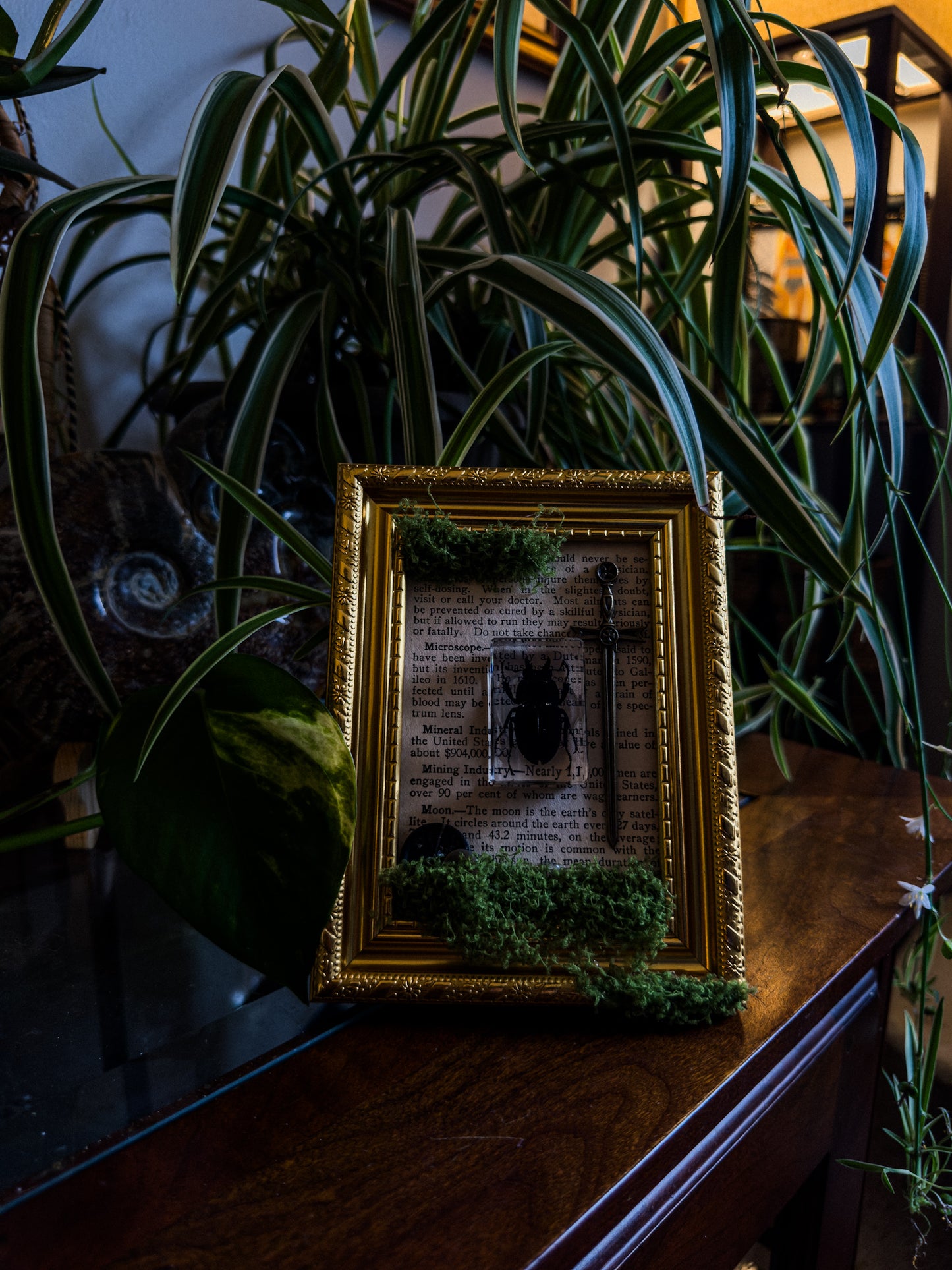 Cottagecore Faux Moss Decor (Beetle)