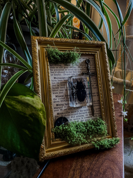 Cottagecore Faux Moss Decor (Beetle)