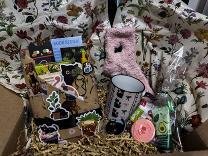 Blind Date With a Book Cat Bundle