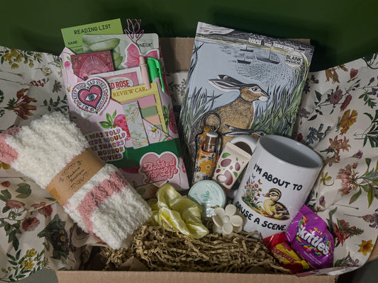 Blind Date With a Book COZY BUNDLES